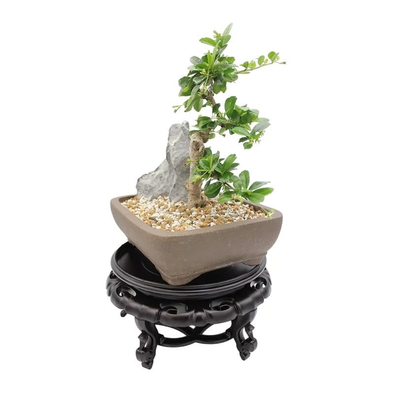Βάση Γλάστρας Καφέ 19cm - Pot Base Vase Stand OEM