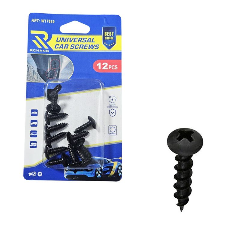Rchang Βίδες Αυτοκινήτου Universal W17669 – Σετ 12 Τεμαχίων - Car Screws RCHANG