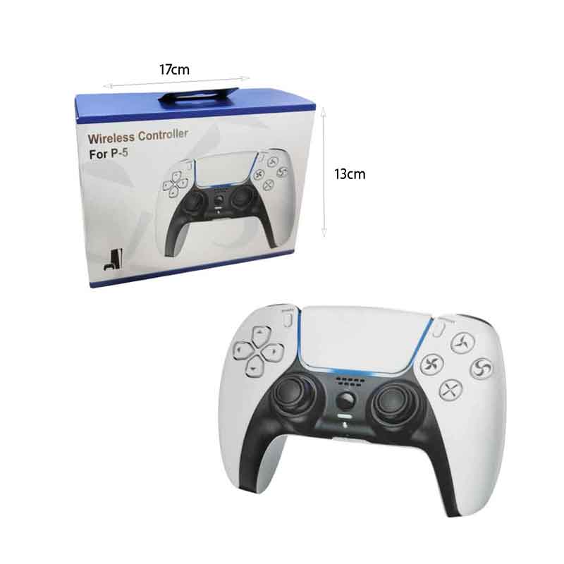 Ασύρματο Χειριστήριο για P-5 - Wireless Controller OEM