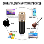 Επαγγελματικό Πυκνωτικό Μικρόφωνο - Professional Condenser Microphone OEM
