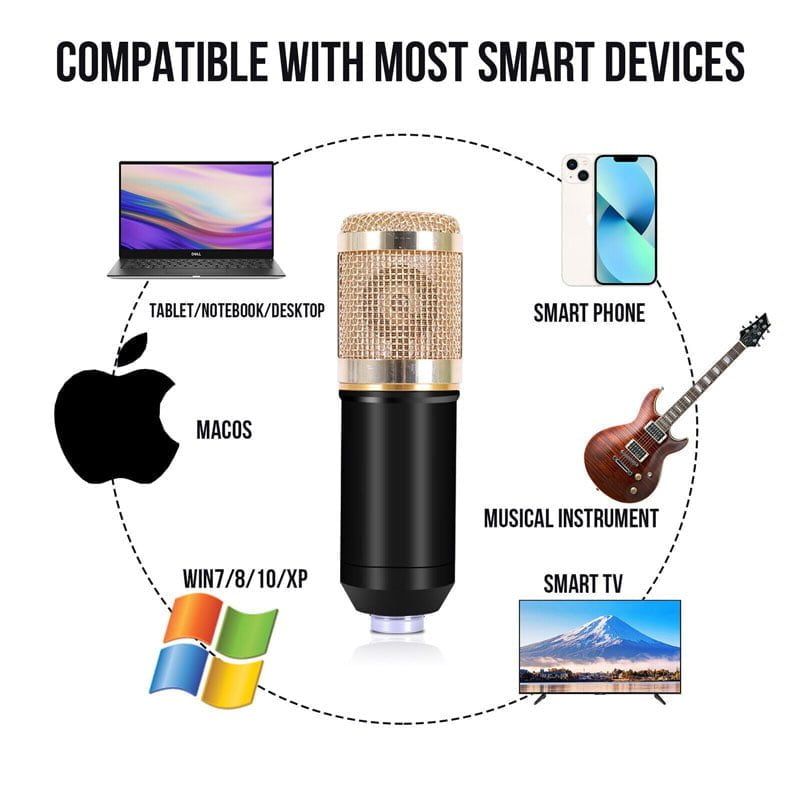 Επαγγελματικό Πυκνωτικό Μικρόφωνο - Professional Condenser Microphone OEM