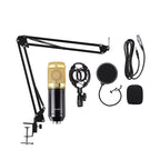 Επαγγελματικό Πυκνωτικό Μικρόφωνο - Professional Condenser Microphone OEM