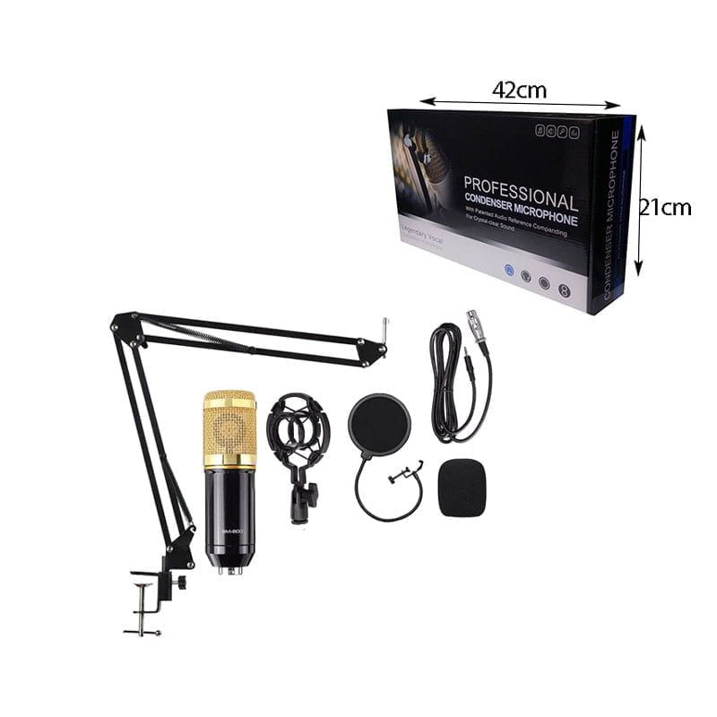 Επαγγελματικό Πυκνωτικό Μικρόφωνο - Professional Condenser Microphone OEM