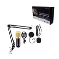 Επαγγελματικό Πυκνωτικό Μικρόφωνο - Professional Condenser Microphone OEM