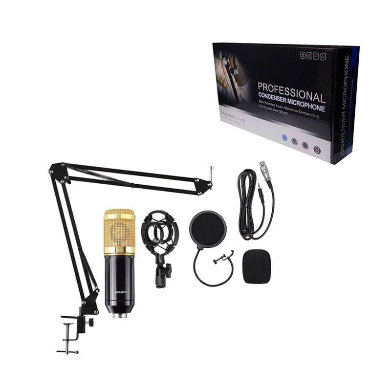 Επαγγελματικό Πυκνωτικό Μικρόφωνο - Professional Condenser Microphone OEM