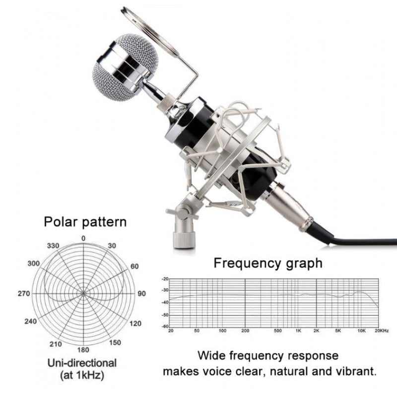 Επαγγελματικό Πυκνωτικό μικρόφωνο Huichang - Studio Microphone OEM