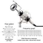 Επαγγελματικό Πυκνωτικό μικρόφωνο Huichang - Studio Microphone OEM