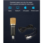Qiaoyang επαγγελματικό σέτ μικροφώνου QA-T595 - Qiaoyang Professional microphone recording equipement QA-T595 Qiaoyang