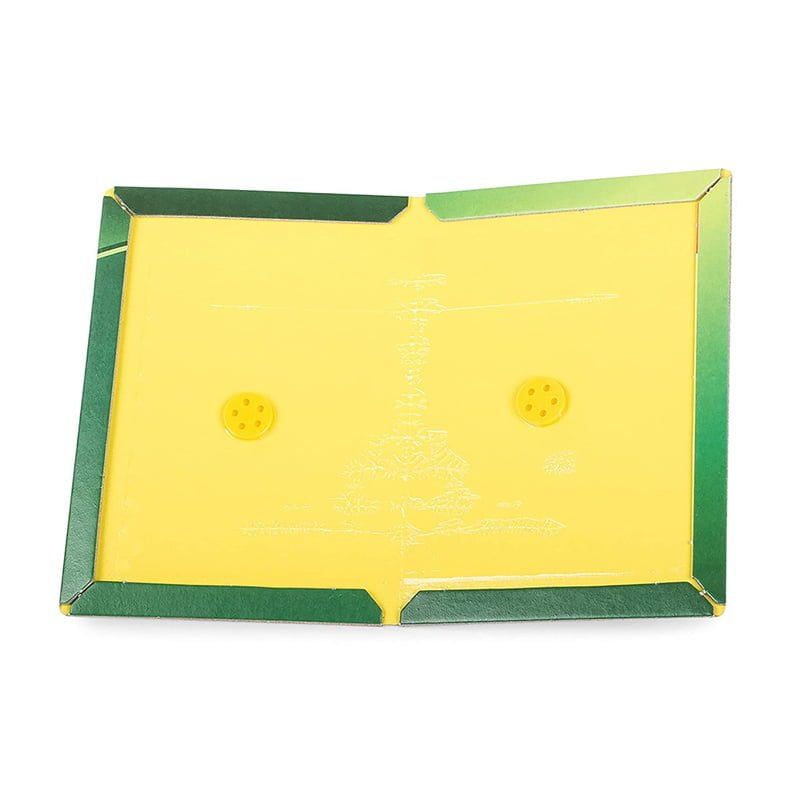 Ποντικοπαγίδα - Aoshineng mouse catcher trap OEM