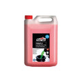 Feral Paraflu Αντιπηκτικό Υγρό -15 ⁰ C 4L Κόκκινο - Red Engine Coolant Antifreeze 4L Feral