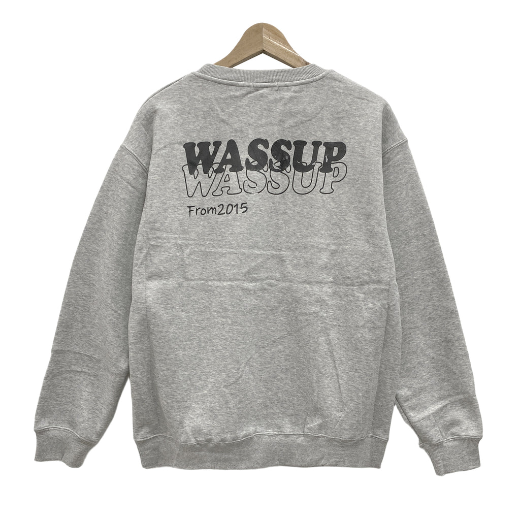 Μπλούζα φούτερ wassup επένδυση φλις Γκρι 8787 ANSIN