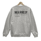 Μπλούζα φούτερ wassup επένδυση φλις Γκρι 8787 ANSIN