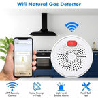 Andowl Q-MQ25 Ανιχνευτής Διαρροής Γκαζιού Πρίζας - WiFi Combusitible Gas Detector ANDOWL
