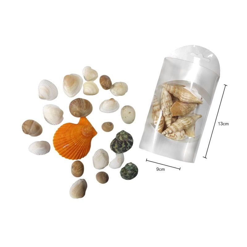 Διακοσμητικά κοχύλια σε κουτί 1τμχ - Shell decoration OEM