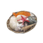 Διακοσμητικά κοχύλια σε καλαθάκι - Shell decoration OEM