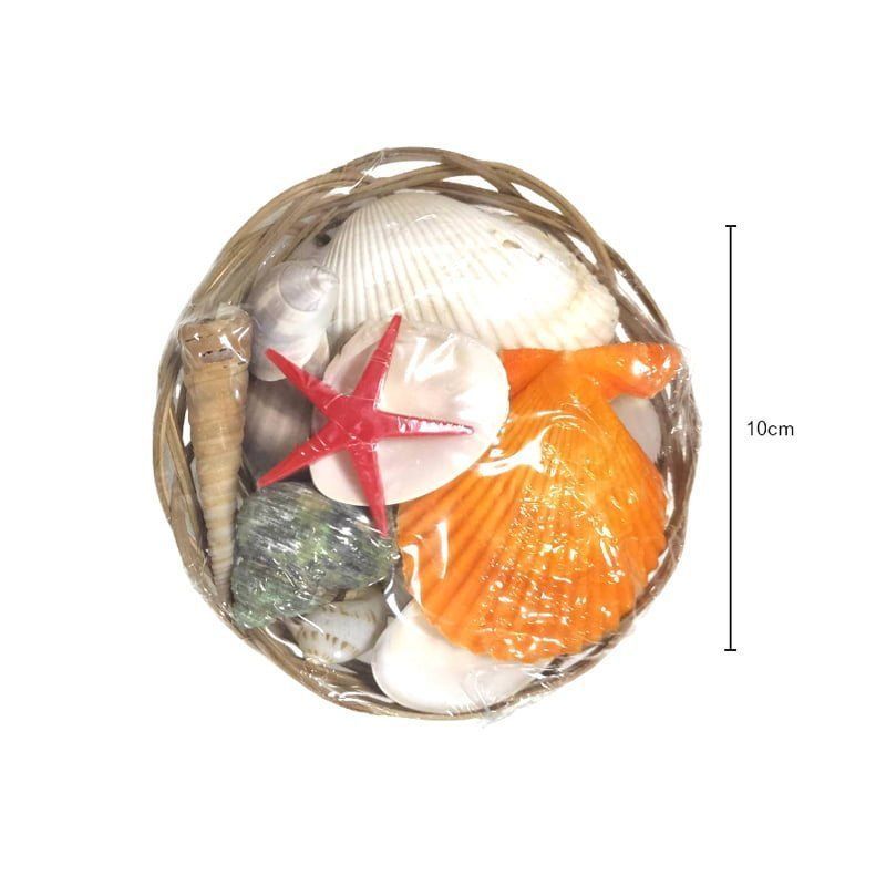 Διακοσμητικά κοχύλια σε καλαθάκι - Shell decoration OEM